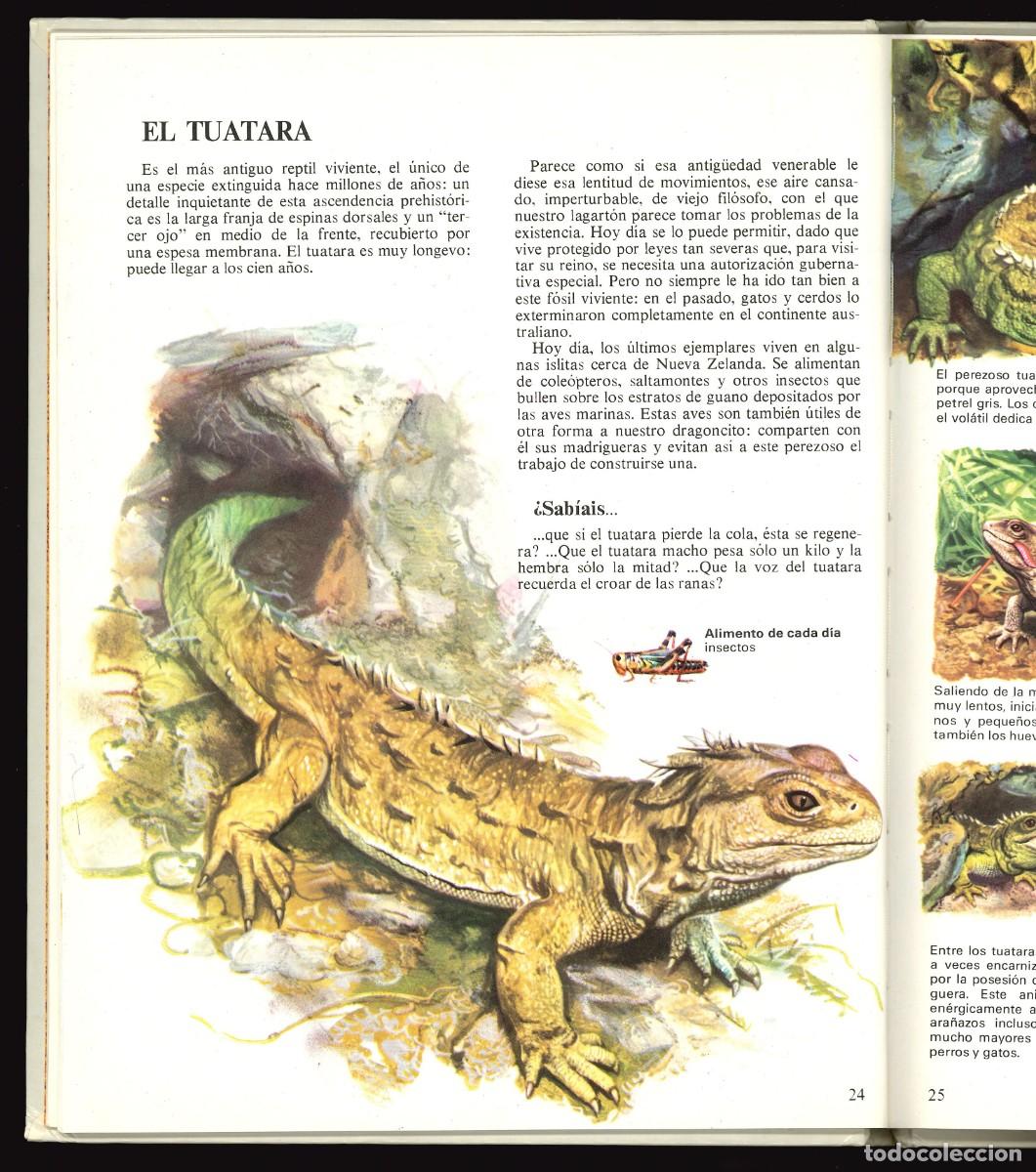 Libros de segunda mano: VIDA &Iacute;NTIMA DE LOS ANIMALES - EDICIONES RIALP / N&Uacute;MERO 15 - Foto 3