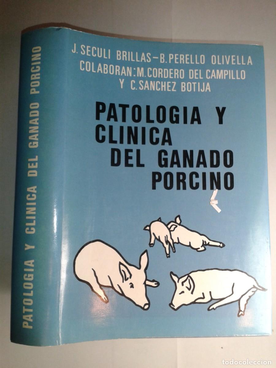 Libros de segunda mano: PATOLOG&Iacute;A Y CLINICA DEL GANADO PORCINO 1980 J. S&Eacute;CULI BRILLAS / B. PERELL&Aacute; OLIVELLA 1&ordf; ED. NEOSAN