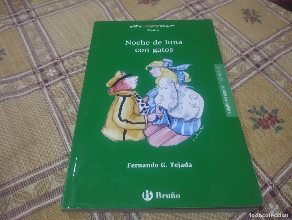 Libros de segunda mano: NOCHE DE LUNA CON GATOS / FERNANDO G. TEJADA / TEATRO / ED. BRU&Ntilde;O