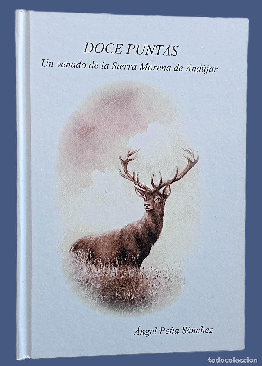 Gebrauchte B&uuml;cher: DOCE PUNTAS. Un venado de la Sierra Morena de And&uacute;jar (caza mayor)