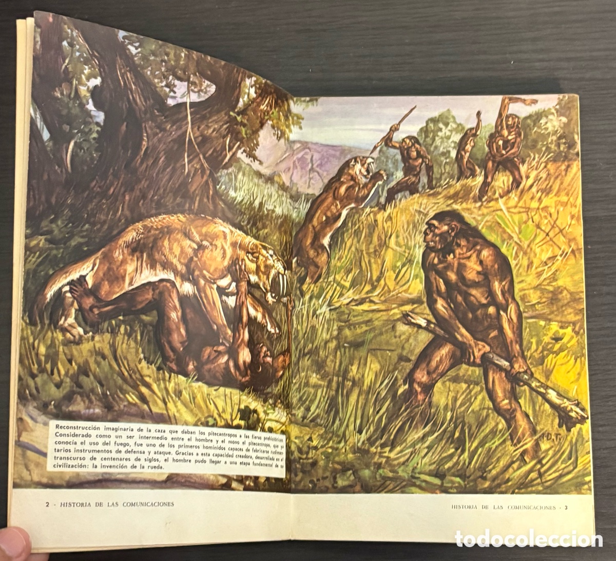 Libros de segunda mano: LIBRO HISTORIA DE LAS COMUNICACIONES: TRANSPORTES TERRESTRES. 1969 - Foto 5