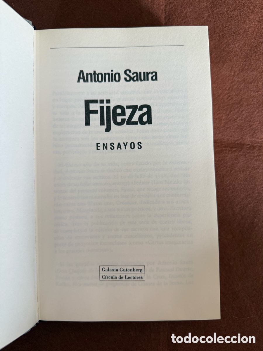 Gebrauchte B&uuml;cher: ANTONIO SAURA - FIJEZA ENSAYOS - GALAXIA GUTENBERG - TEOR&Iacute;A DEL ARTE