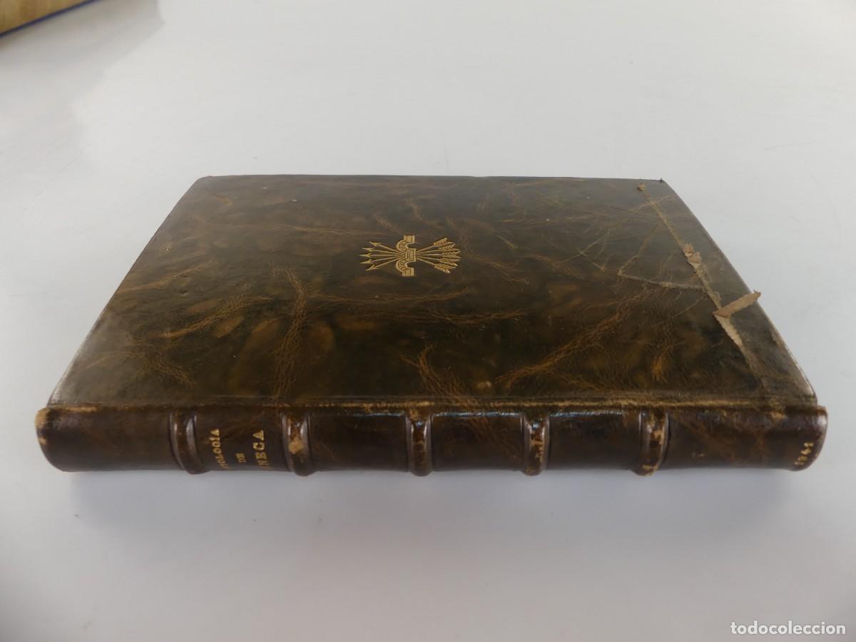 Gebrauchte B&uuml;cher: LIBRO - SENECA ANTOLOGIA POR CARLOS ALONSO DEL REAL