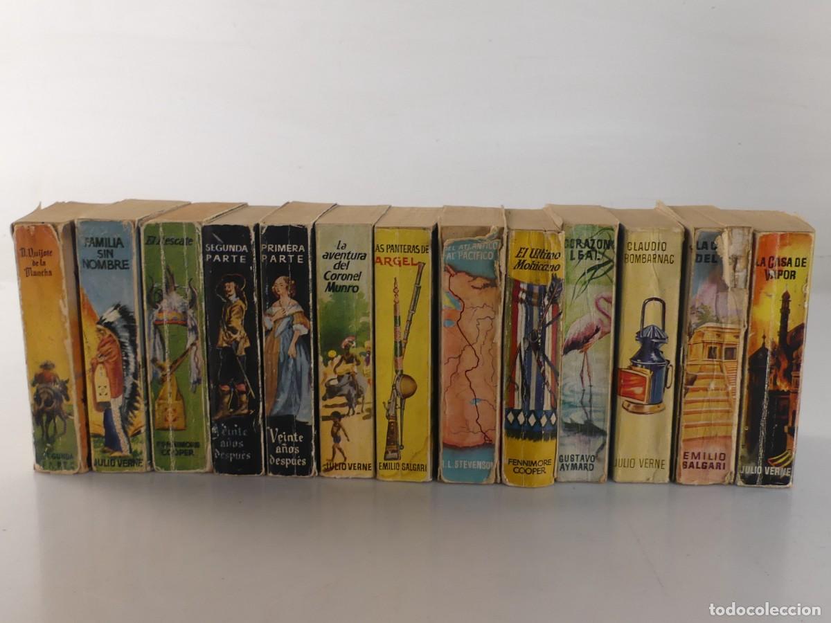 Libros de segunda mano: COLECCION LOTE DE 13 NUMEROS DE LA ENCICLOPEDIA PULGA