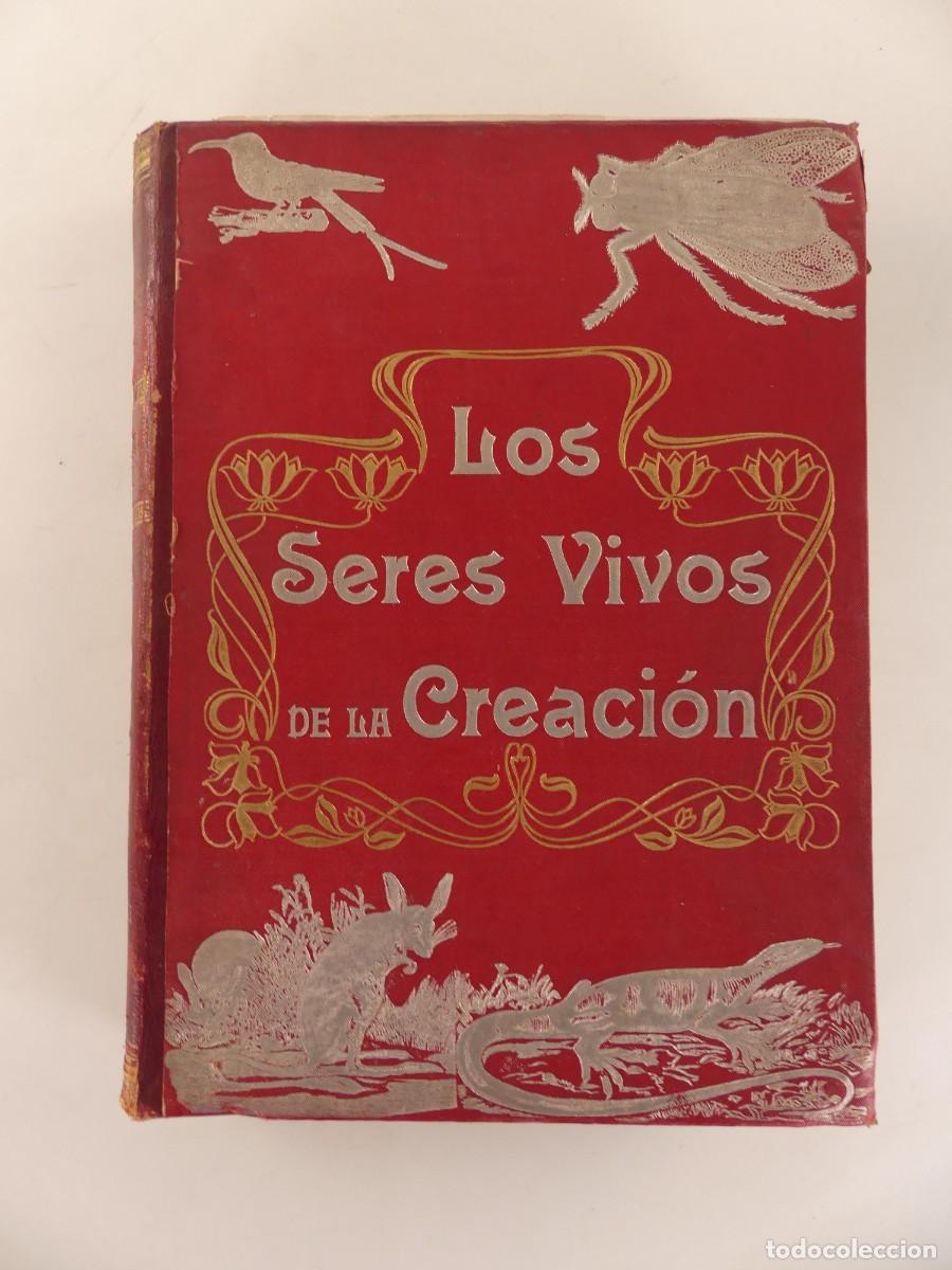 Libros de segunda mano: LIBRO LOS SERES VIVOS DE LA CREACION
