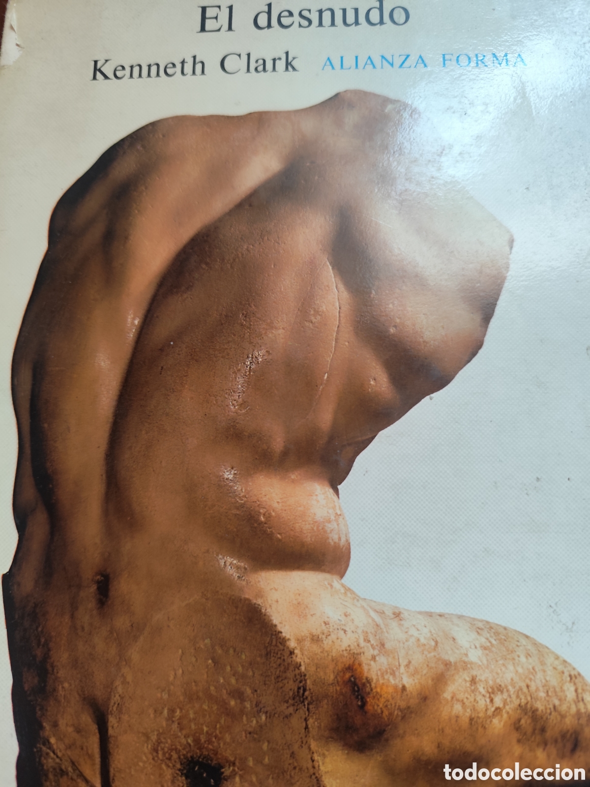 Libros de segunda mano: EL DESNUDO REFERENCIA 374 ALIANZA FORMA