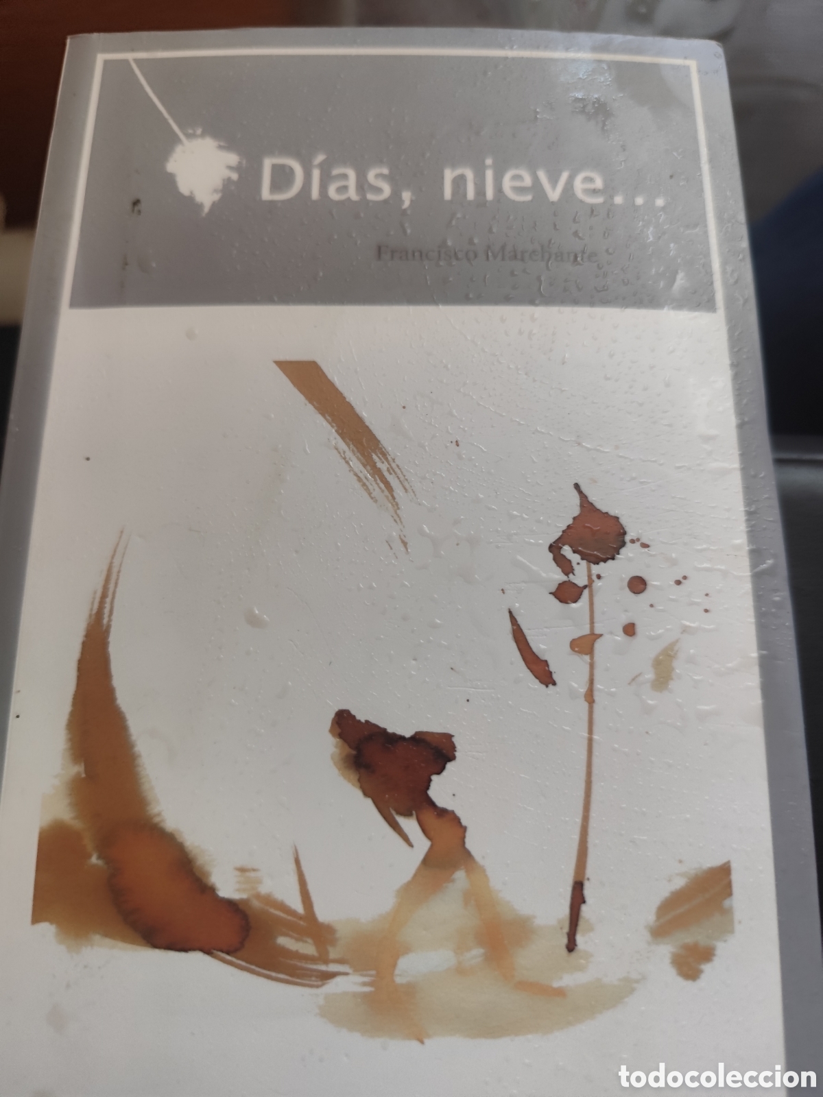 Libros de segunda mano: DIAS NIEVE RFERENCIA 376