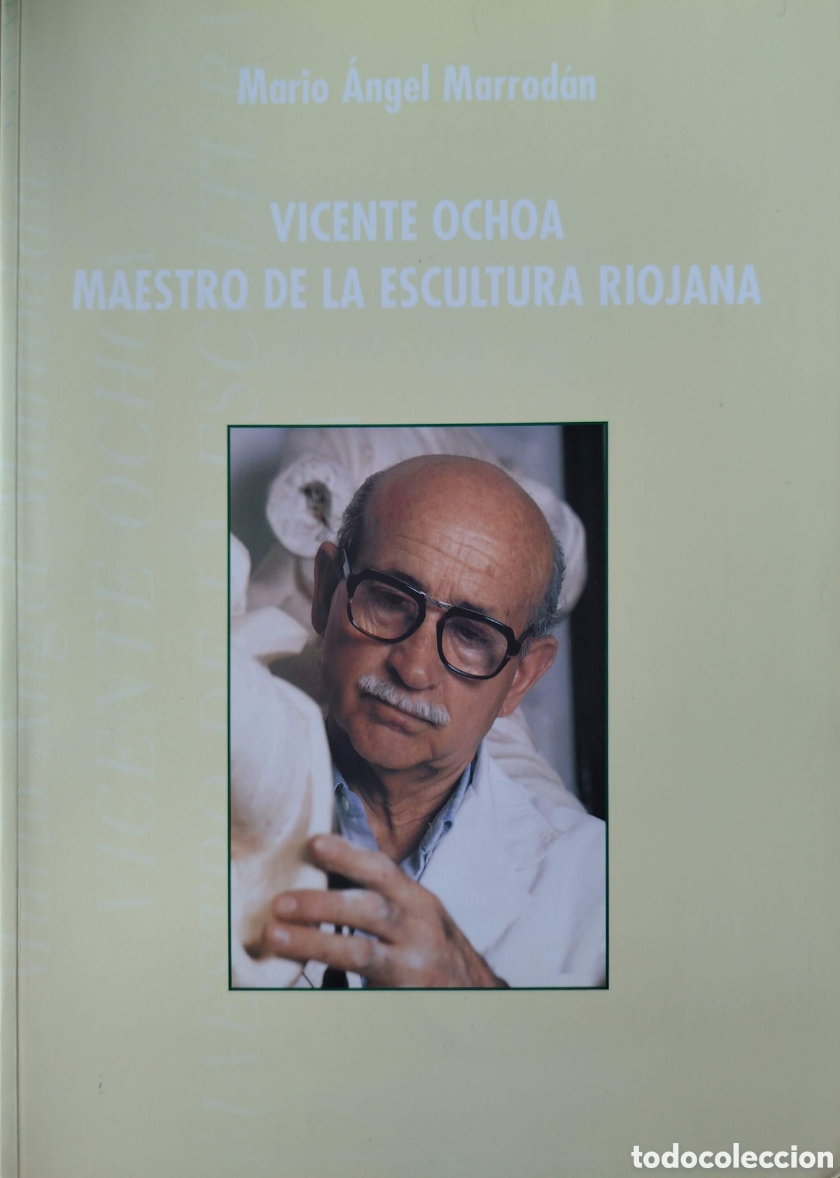 Libros de segunda mano: Vicente Ochoa. Maestro de la escultura riojana. Mario &Aacute;ngel Marrod&aacute;n. 1998.