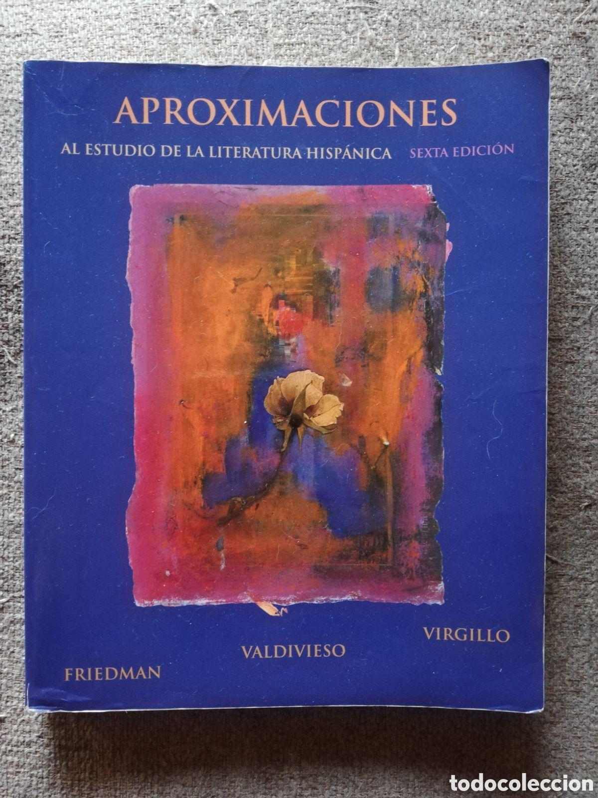 Second hand books: Aproximaciones al estudio de la literatura hip&aacute;nica. Sexta edici&oacute;n 2008