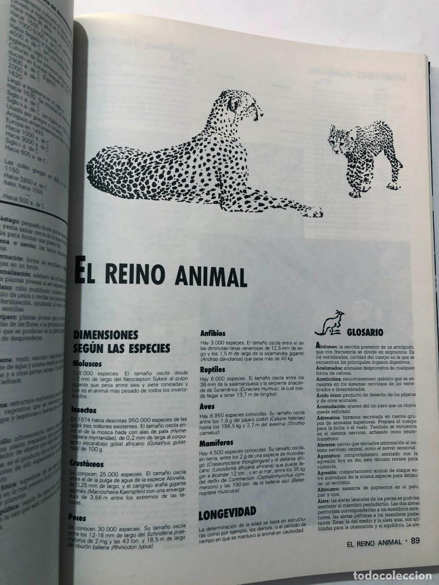 Libros de segunda mano: LIBRO DE RESPUESTAS GUINNESS / A&Ntilde;O 1989 / SIN USAR - Foto 3
