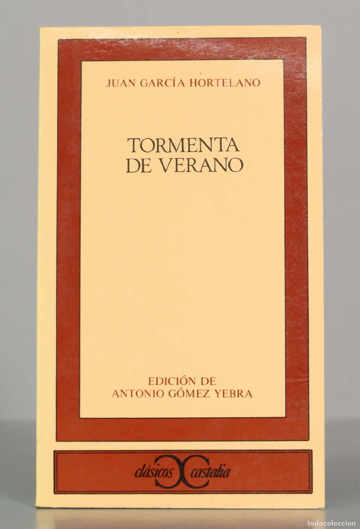 Libros de segunda mano: Tormenta de verano - Juan Garc&iacute;a Hortelano - Editorial Castalia