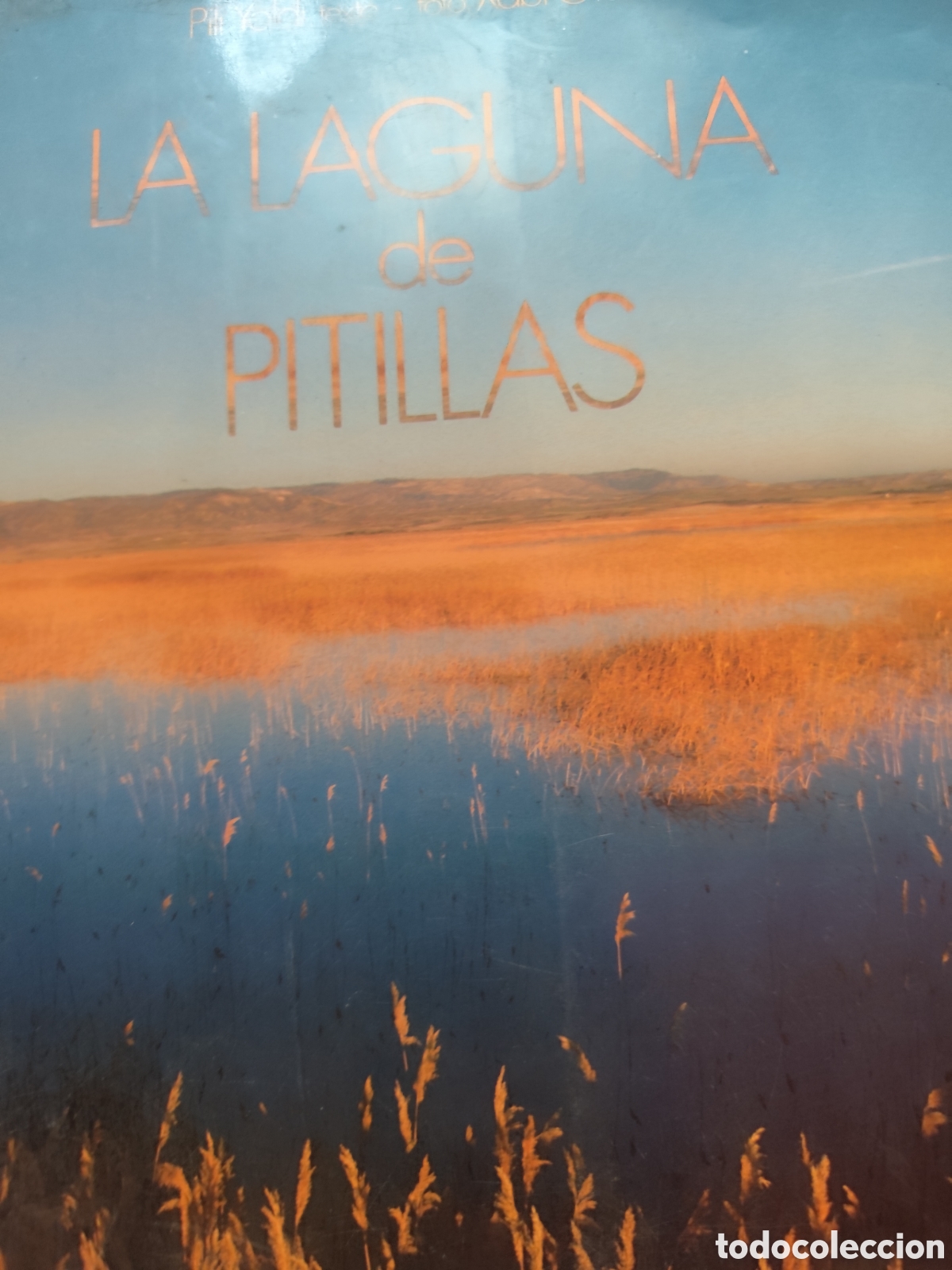 Libros de segunda mano: LA LAGUNA DE PITILLAS .RF 352G