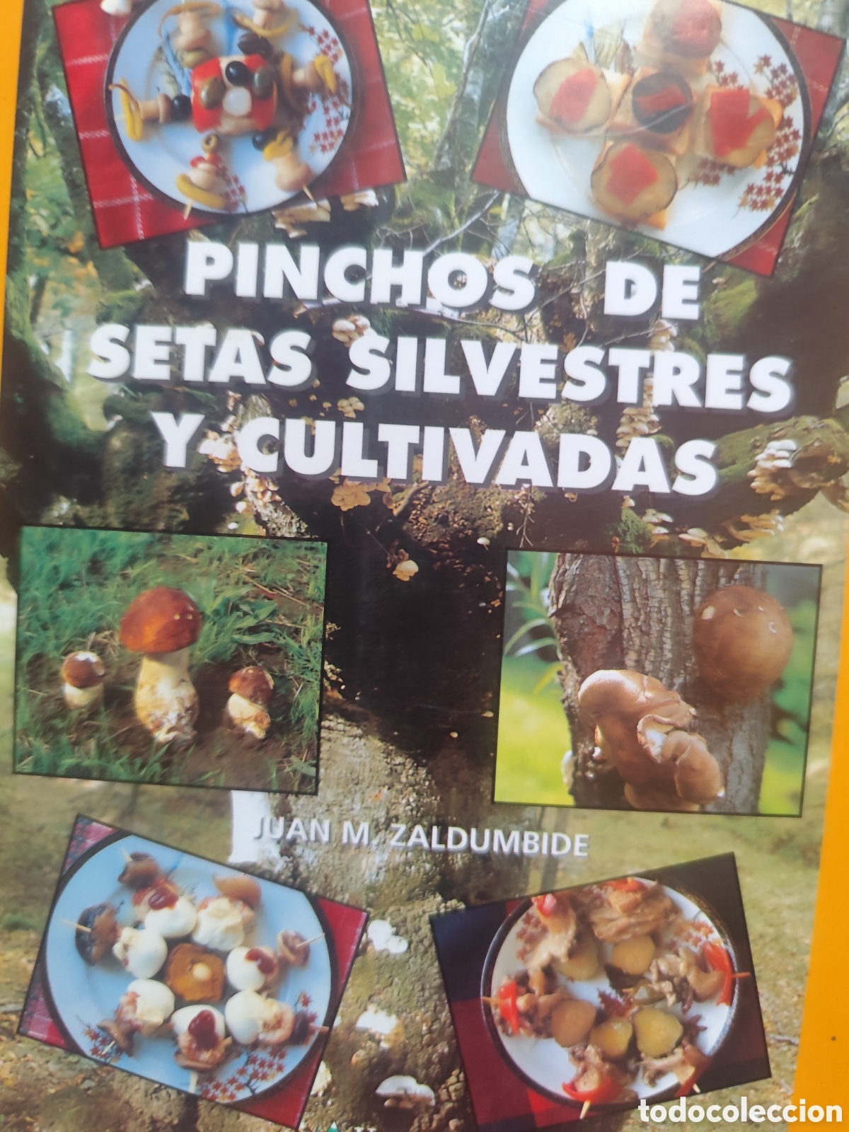 Libri di seconda mano: PINCHOS DE SETAS SILVESTRES Y CULTIVADAS RF 314