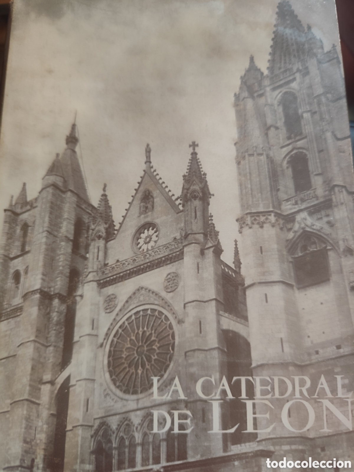 LA CATEDRAL DE LEON RF 395