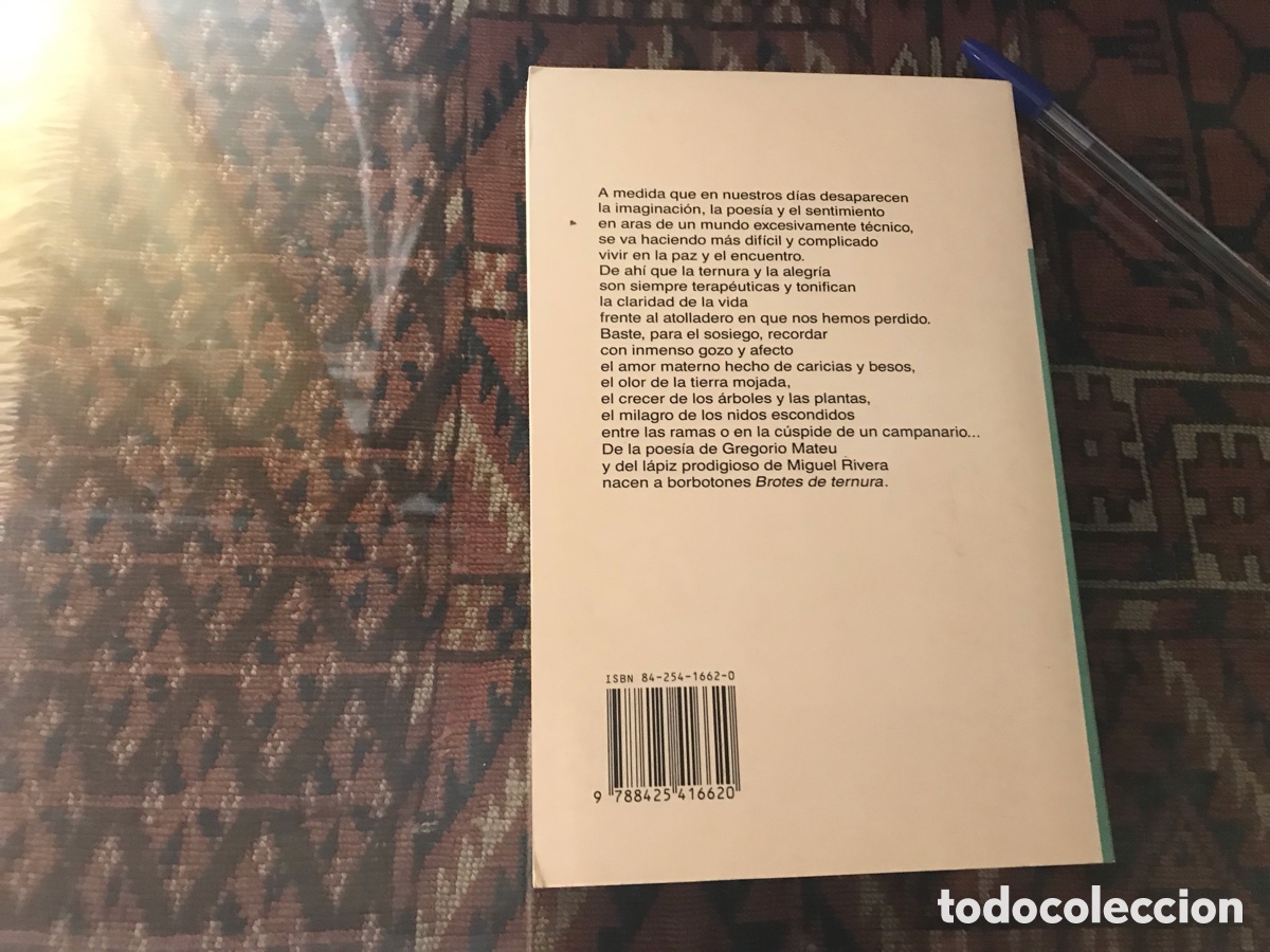 Libros de segunda mano: Brotes de ternura. Gregorio mate. Herder - Foto 2