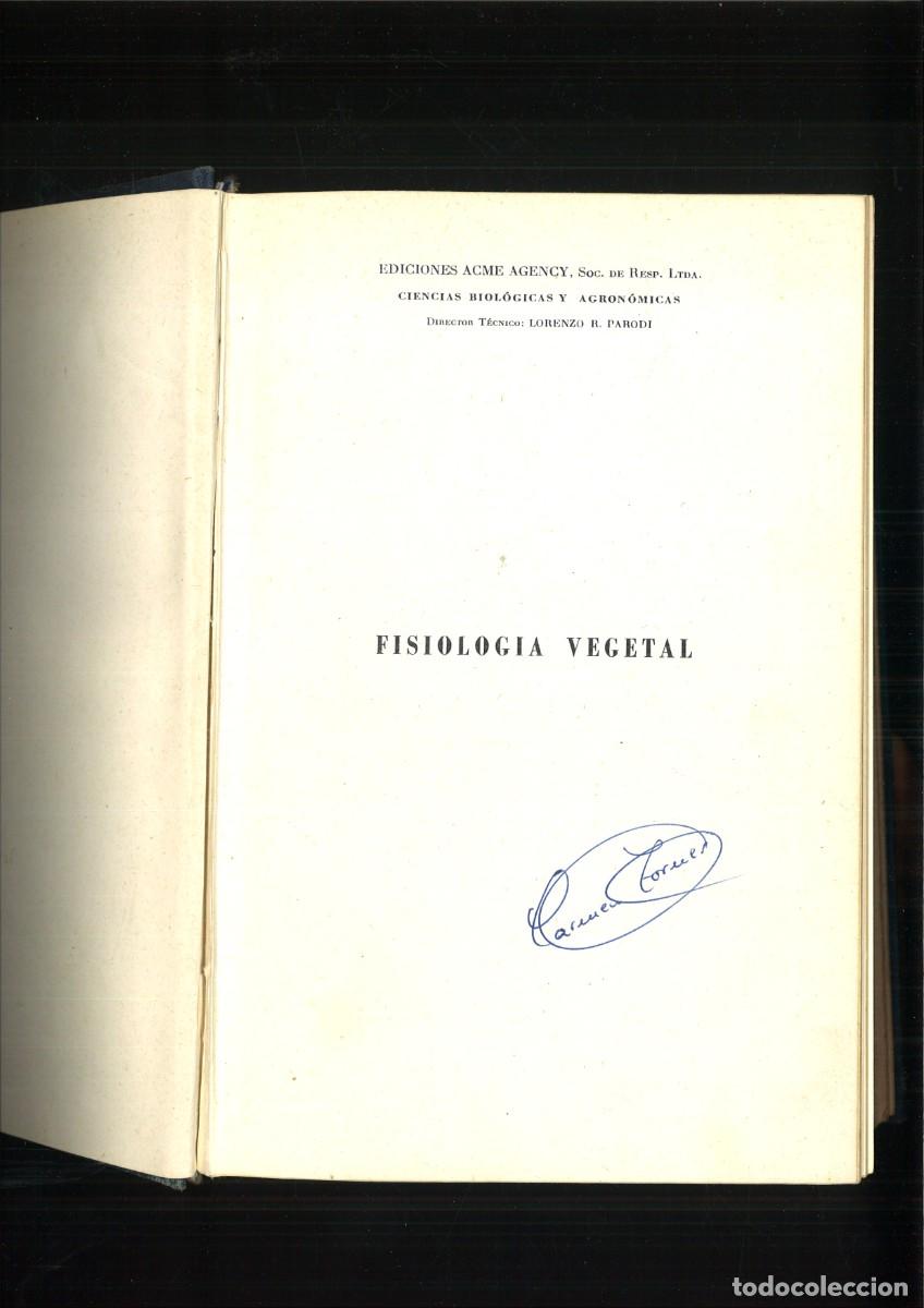 Libros de segunda mano: FISIOLOGIA VEGETAL. Lorenzo R. Parodi (Director T&eacute;cnico)