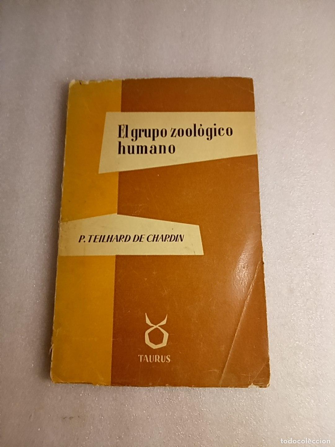 Libros de segunda mano: EL GRUPO ZOOL&Oacute;GICO HUMANO - P. TEILHARD DE CHARDIN