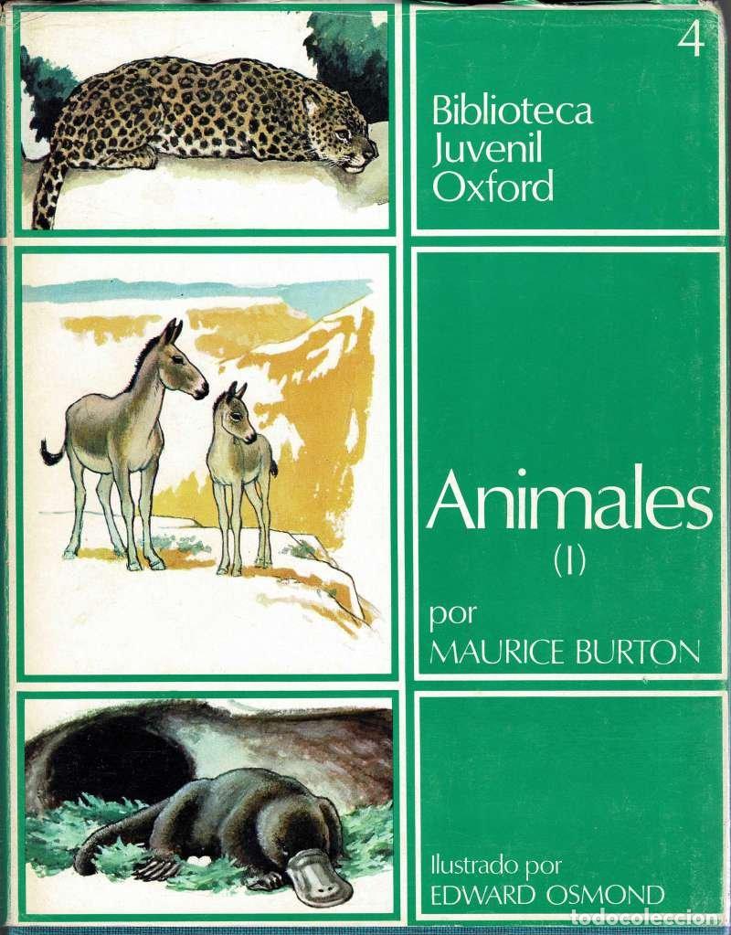 Libros de segunda mano: Biblioteca Juvenil Oxford Vol. 4. Animales (I) - Maurice Burton, Edward Osmond