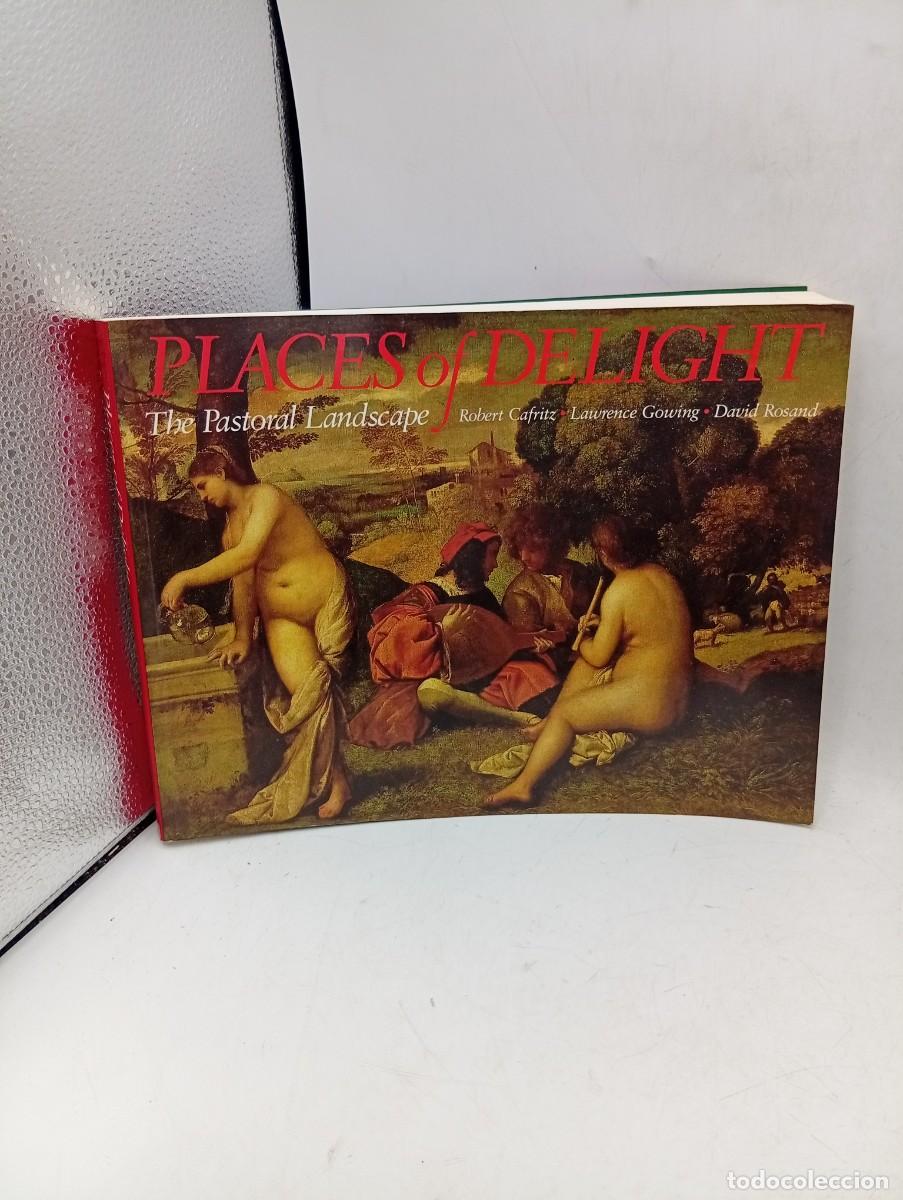 Libros de segunda mano: PLACES OF DELIGHT. THE PASTORAL LANDSCAPE. ROBERT C. CAFRITZ/LAURENCE GOWING/DAVID. 1993. PAGS: 270.
