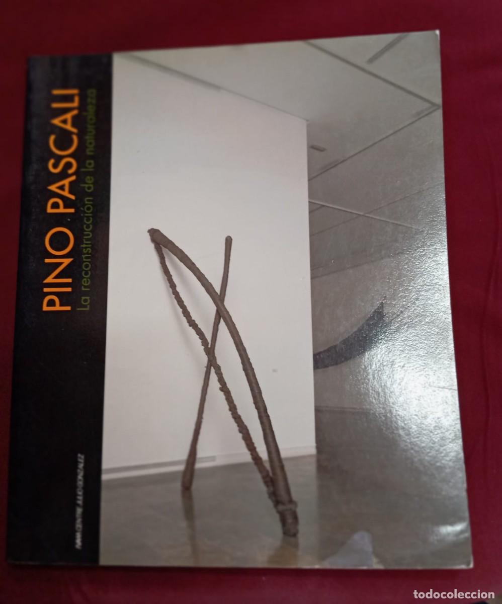 Libros de segunda mano: PINO PASCALI: LA RECONSTRUCCION DE LA NATURALEZA