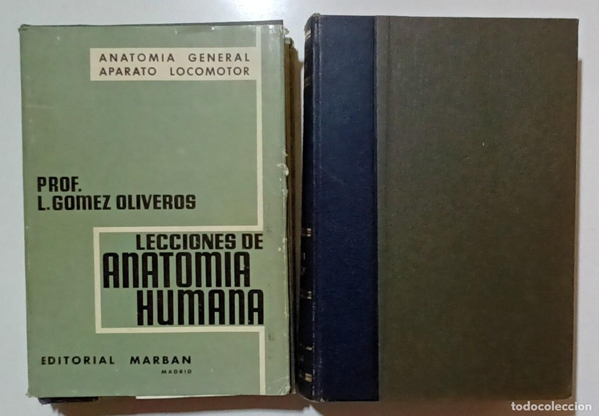 Libros de segunda mano: LECCIONES DE ANATOM&Iacute;A HUMANA (TOMO I, 1&ordf; y 2&ordf; PARTE) - L. G&Oacute;MEZ OLIVEROS - ED. MARBAN - 1964