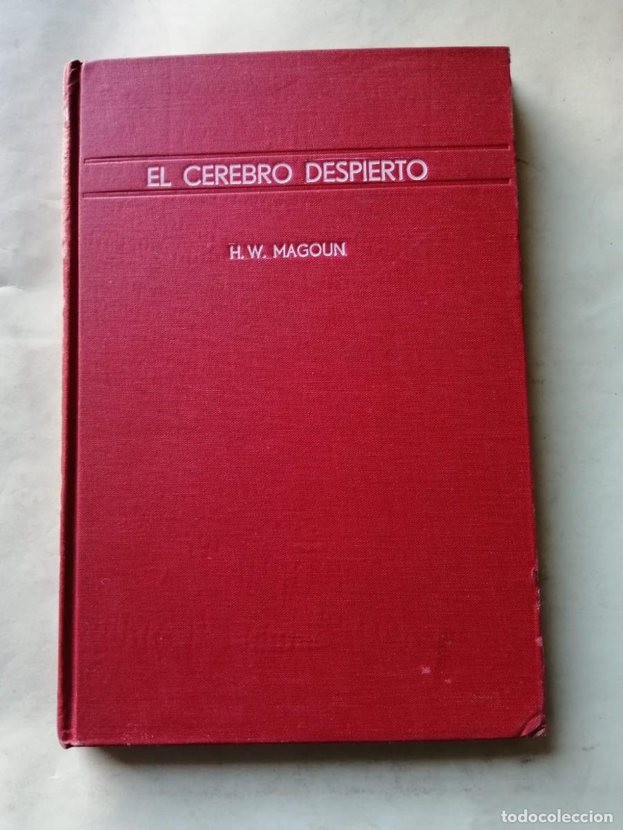 Libros de segunda mano: EL CEREBRO DESPIERTO (H. W. MAGOUN)