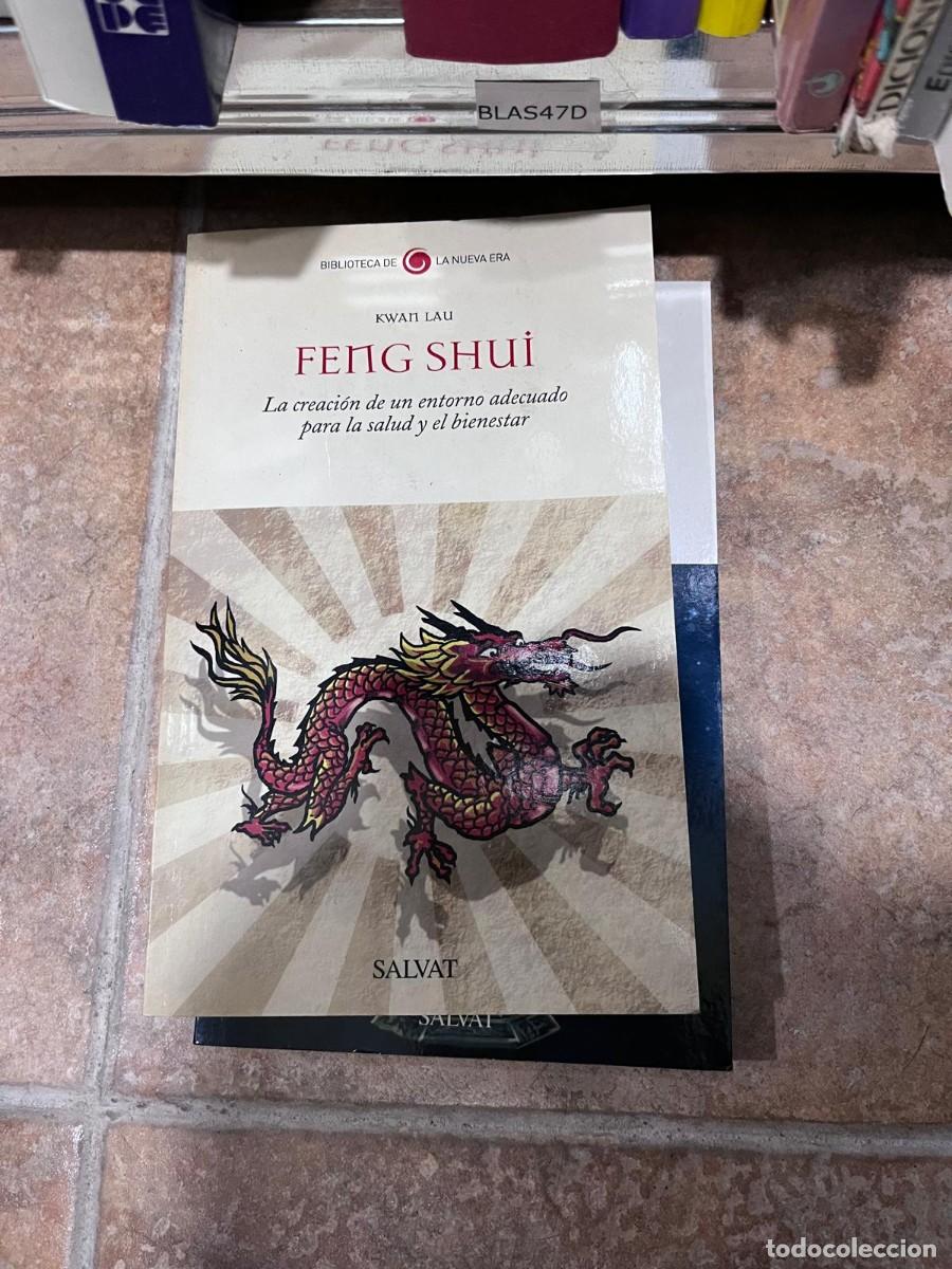 Libros de segunda mano: BLAS47D &ndash; Feng Shui: La creaci&oacute;n de un entorno adecuado para la salud y el bienestar &ndash; Kwai Lau &ndash; Sa