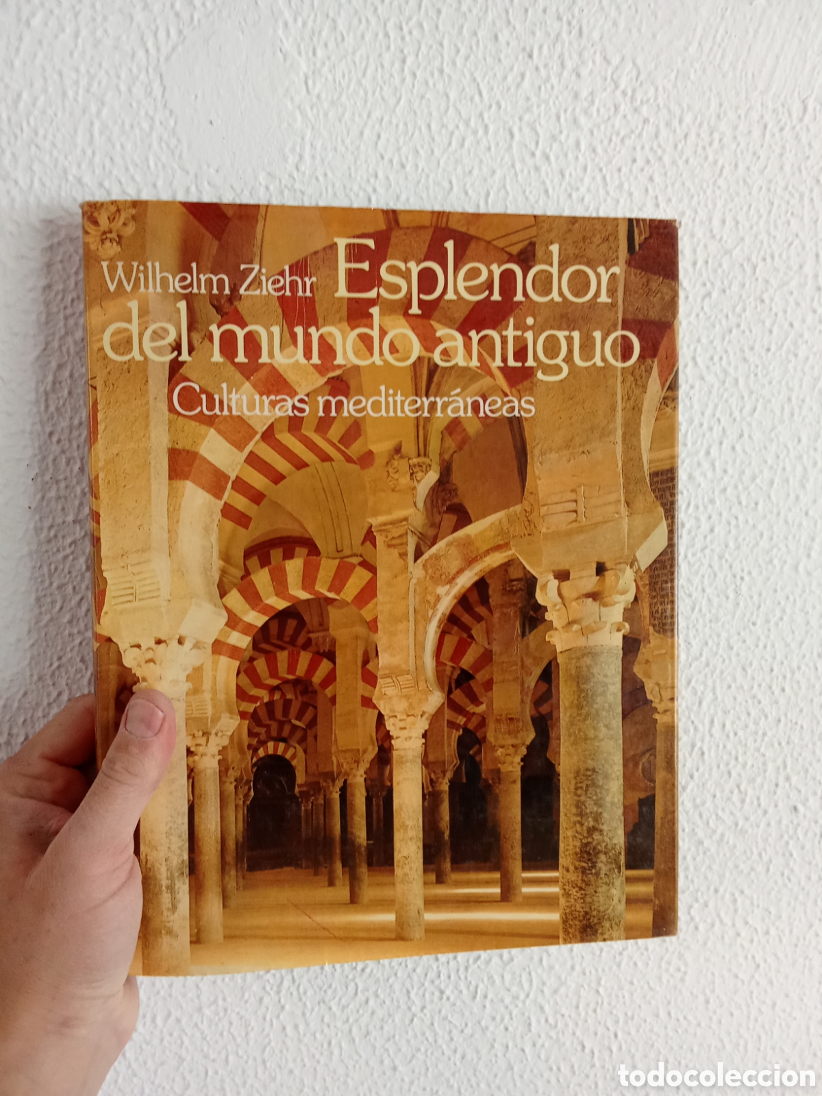 Libros de segunda mano: Esplendor del mundo antiguo - Wilhelm Ziehr