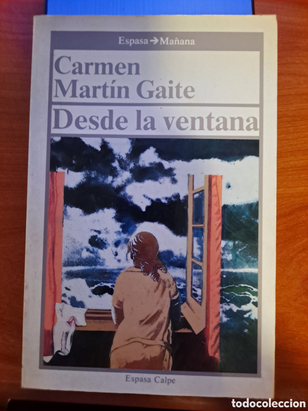 Libros de segunda mano: Libro &rdquo;Desde la ventana&rdquo;