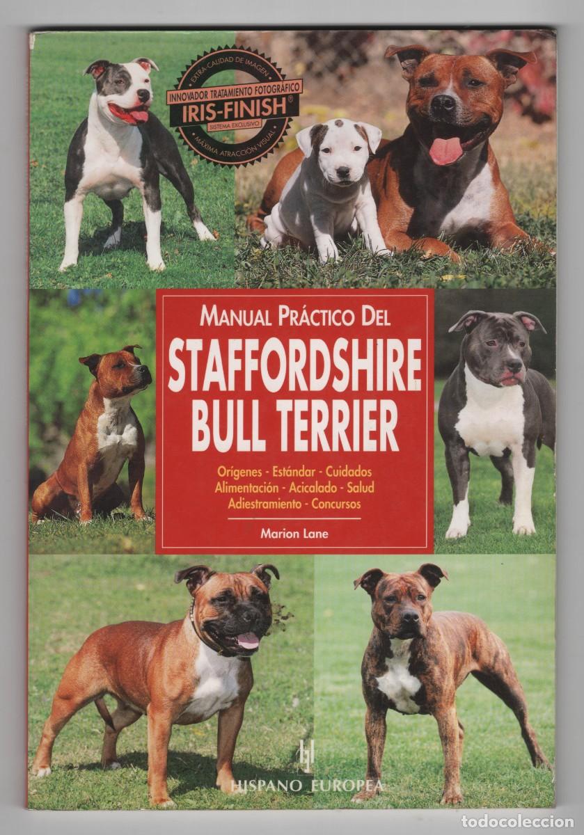 Libros de segunda mano: STAFFORDSHIRE - BULL TERRIER MANUAL PRACTICO EDITORIAL HISPANO EUROPEA BARCELONA 1999