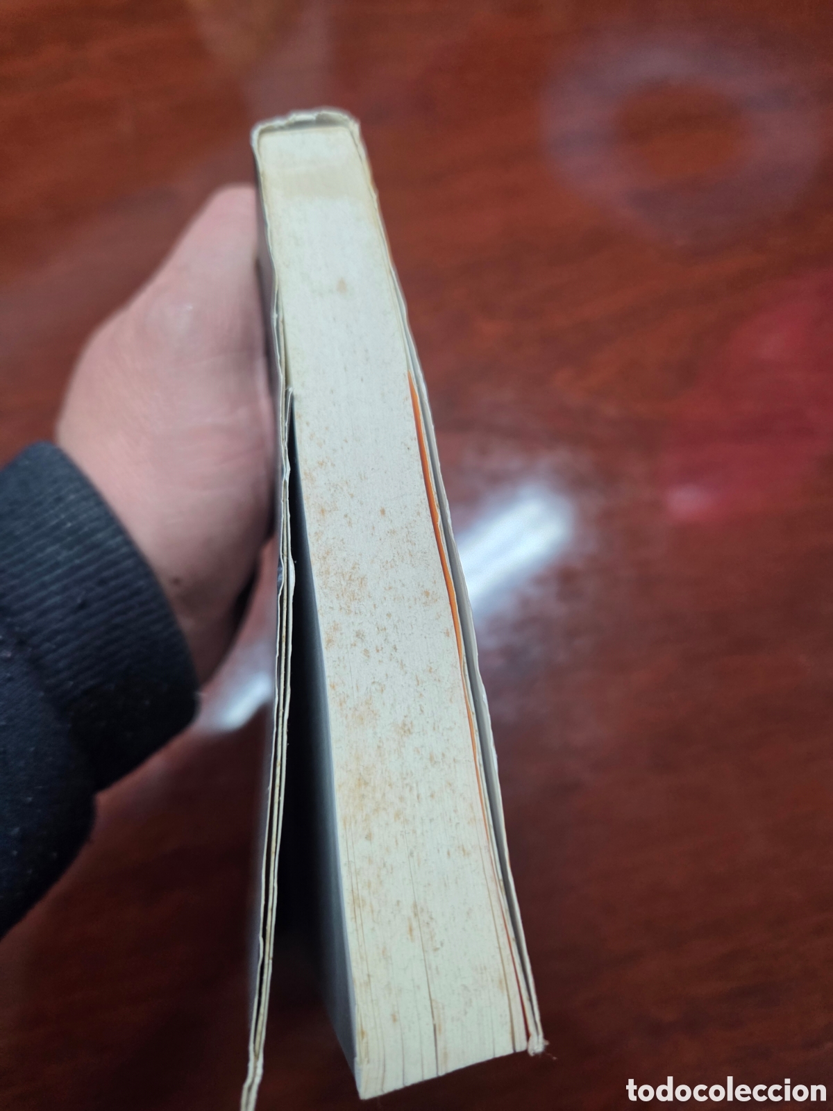 Libros de segunda mano: Escuela de mujeres. Bego&ntilde;a Ametzoy - Foto 5