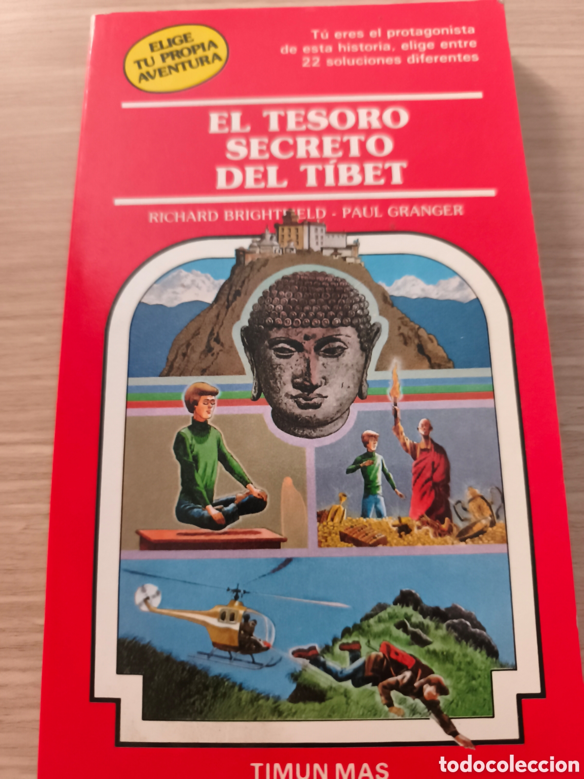 Libros de segunda mano: ELIGE TU PROPIA AVENTURA. EL TESORO SECRETO DEL TIBET
