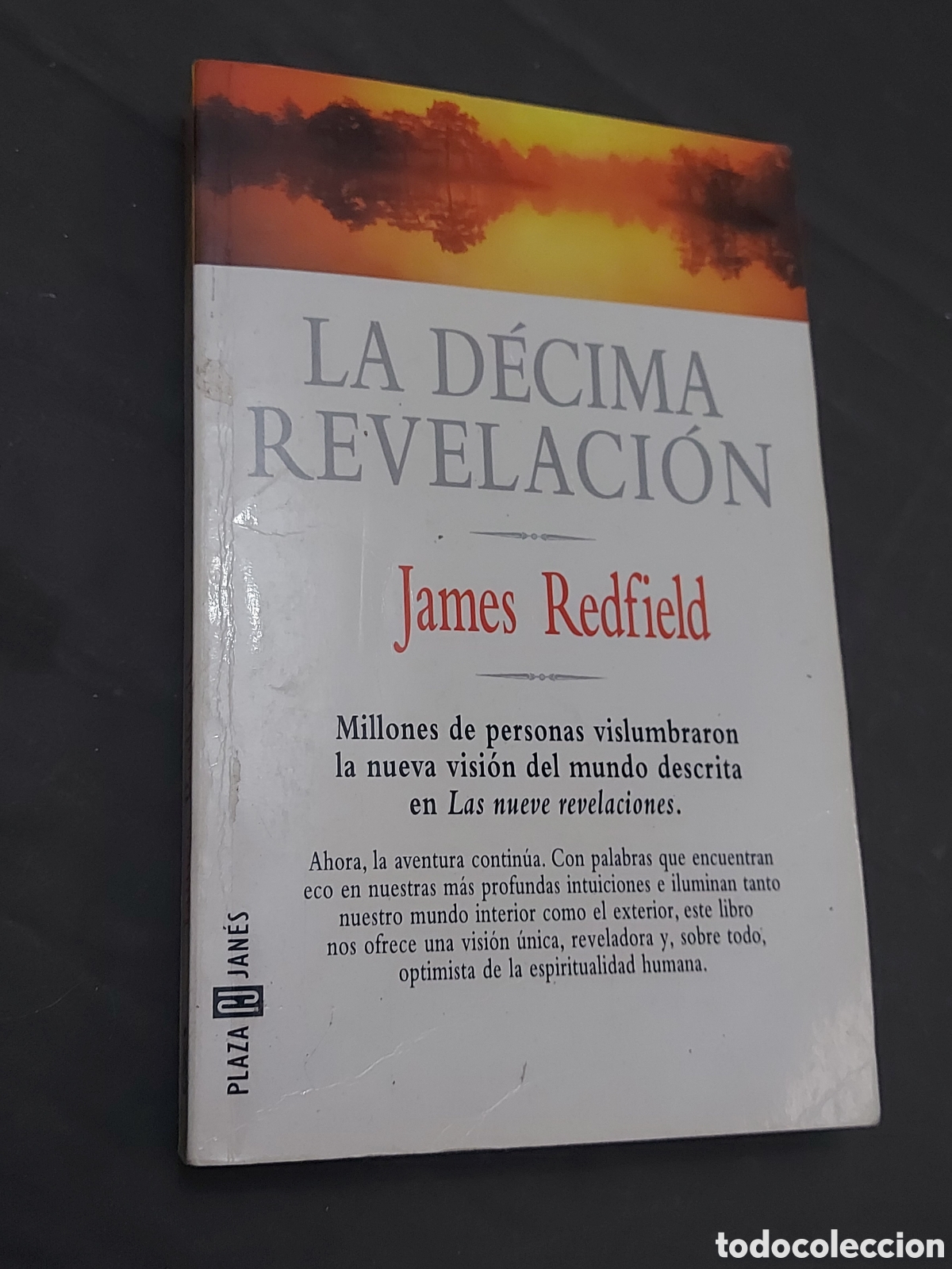 Libros de segunda mano: LA DECIMA REVELACIPN a&ntilde;o 1999