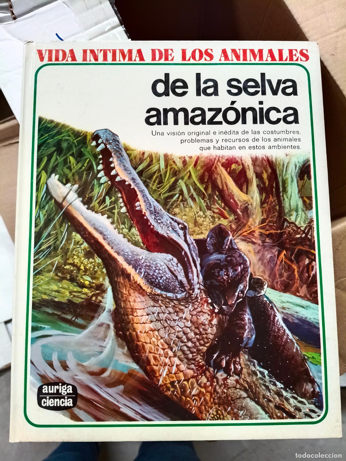 Second hand books: VIDA &Iacute;NTIMA DELOS ANIMALES DE LA SELVA AMAZ&Oacute;NICA