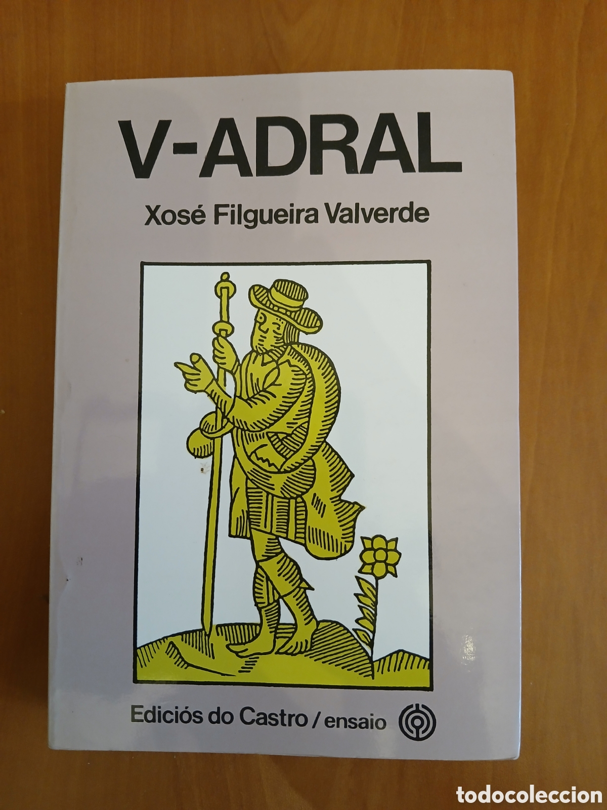 Libros de segunda mano: V - Adral. Xos&eacute; Filgueira Valverde. GALICIA.