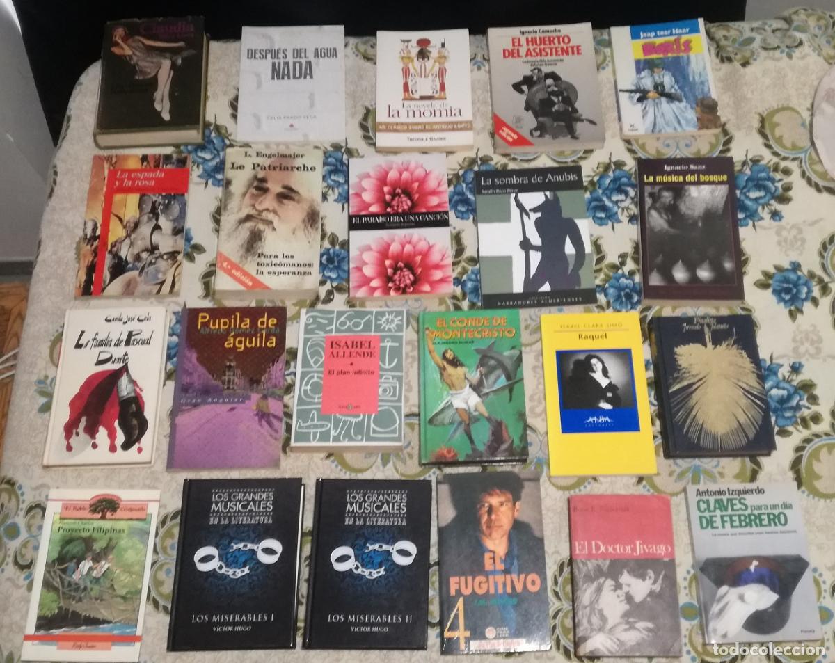 Libros de segunda mano: Lote de 22 libros variados (Lote 84)