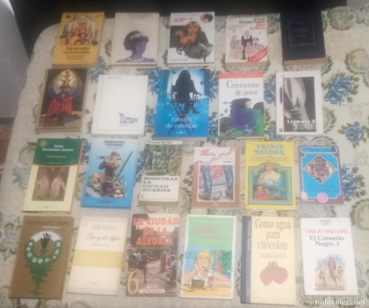 Libros de segunda mano: Lote de 22 libros variados (Lote 86)