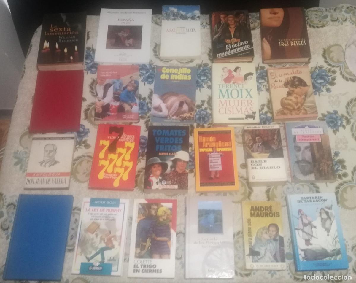 Libros de segunda mano: Lote de 22 libros variados (Lote 87)