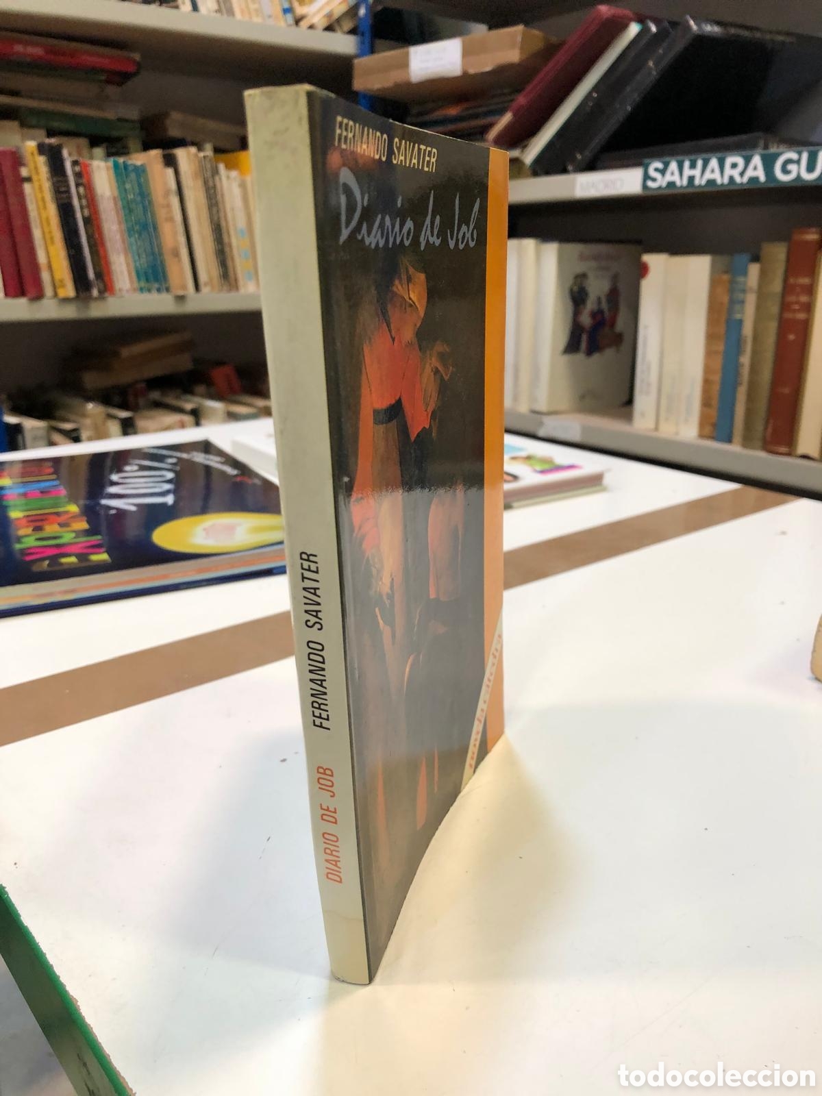 Libri di seconda mano: Diario de Job - Fernando Savater