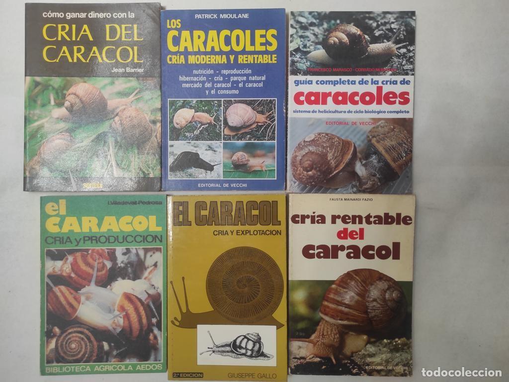 Libros de segunda mano: 6 libros CRIA PRODUCCION Y EXPLOTACION CARACOLES