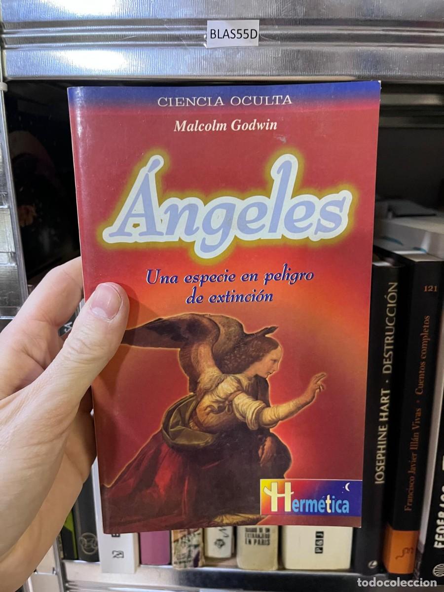 Libros de segunda mano: BLAS55D &mdash; &Aacute;ngeles: una especie en peligro de extinci&oacute;n &mdash; Malcolm Godwin &mdash; Herm&eacute;tica &mdash;