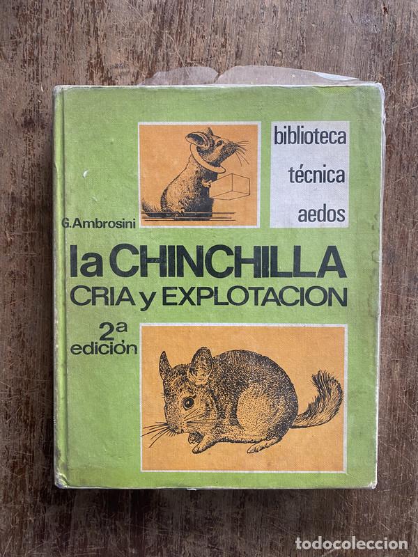 Libros de segunda mano: La Chinchilla - Ambrosini G. - Foto 1