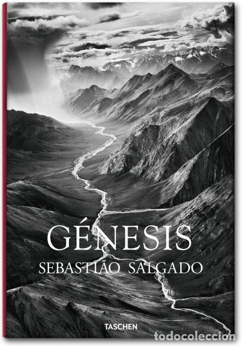 Libros de segunda mano: Salgado, Genesis. - Leila Wanick Salgado.
