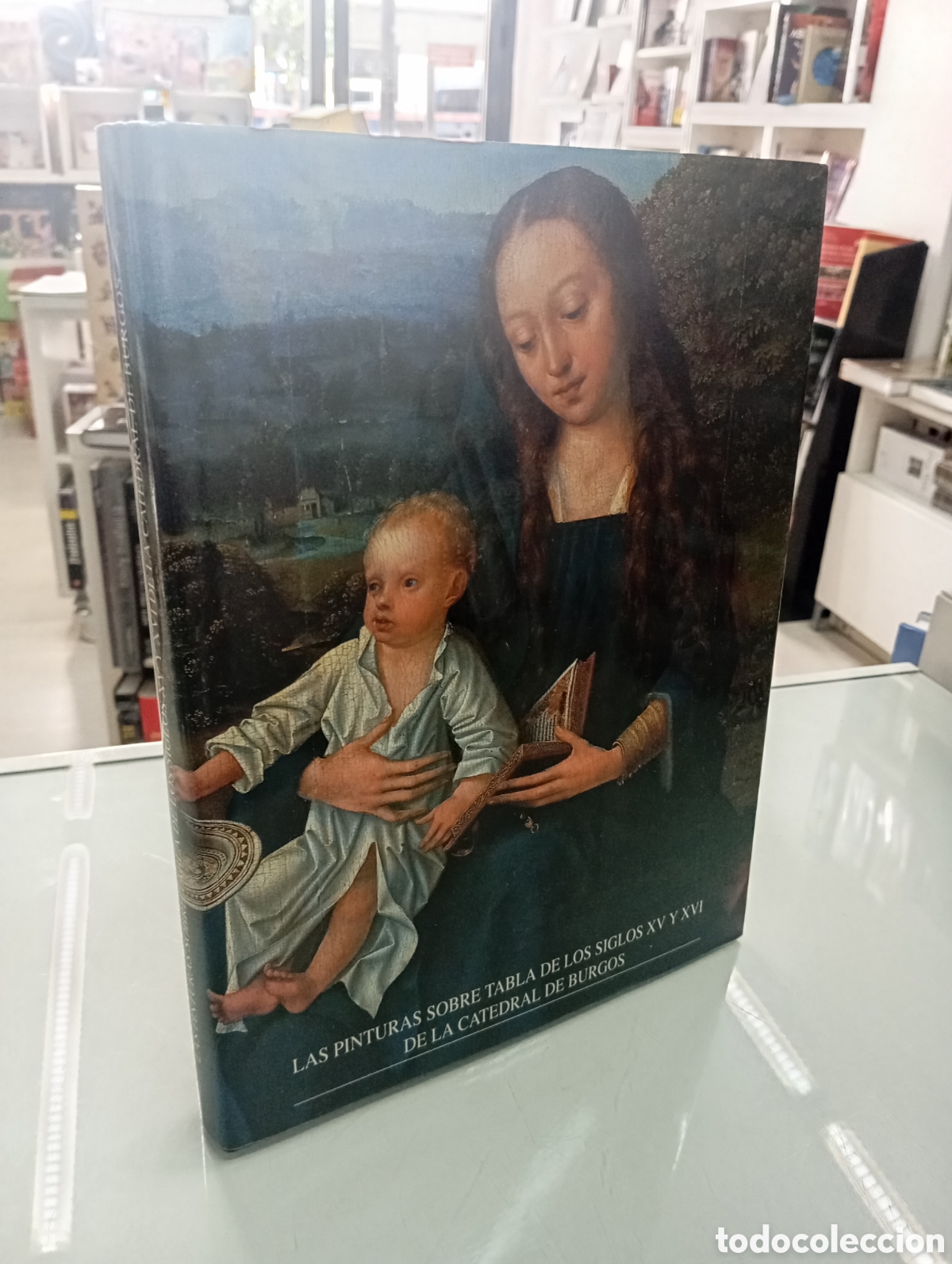 Libros de segunda mano: LAS PINTURAS SOBRE TABLA DE LOS SIGLOS XV Y XVI DE LA CATEDRAL DE BURGOS FLAMENCAS HISPANOFLAMENCAS