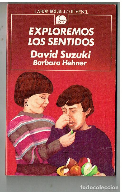 Libros de segunda mano: EXPLOREMOS LOS SENTIDOS. DAVID SUZUKI. LABOR BOLSILLO JUVENIL, N&ordm; 80. 1&ordf;. 1988. (ST/C63)