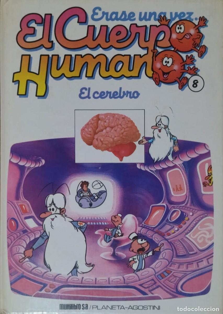 Libros de segunda mano: ERASE UNA VEZ EL CUERPO HUMANO - EL CEREBRO N.⁰ 8. MULTILIBRO 1987. CASI COMO NUEVO.