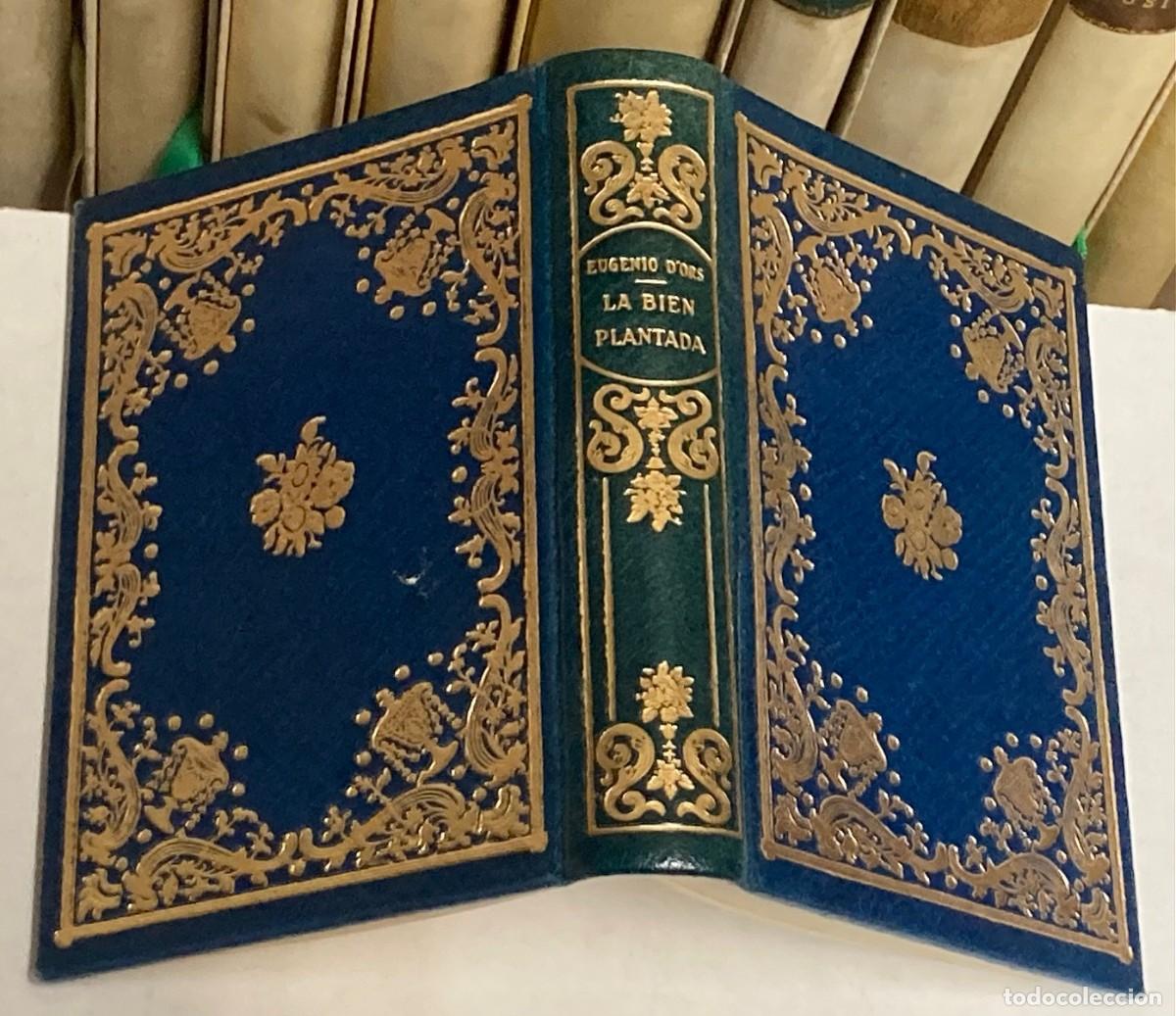 Libros de segunda mano: A&Ntilde;O 1941 - LA BIEN PLANTADA POR EUGENIO D'ORS- MONTANER Y SIM&Oacute;N BIBLIOTECA SELECCI&Oacute;N ENCUADERNACI&Oacute;N