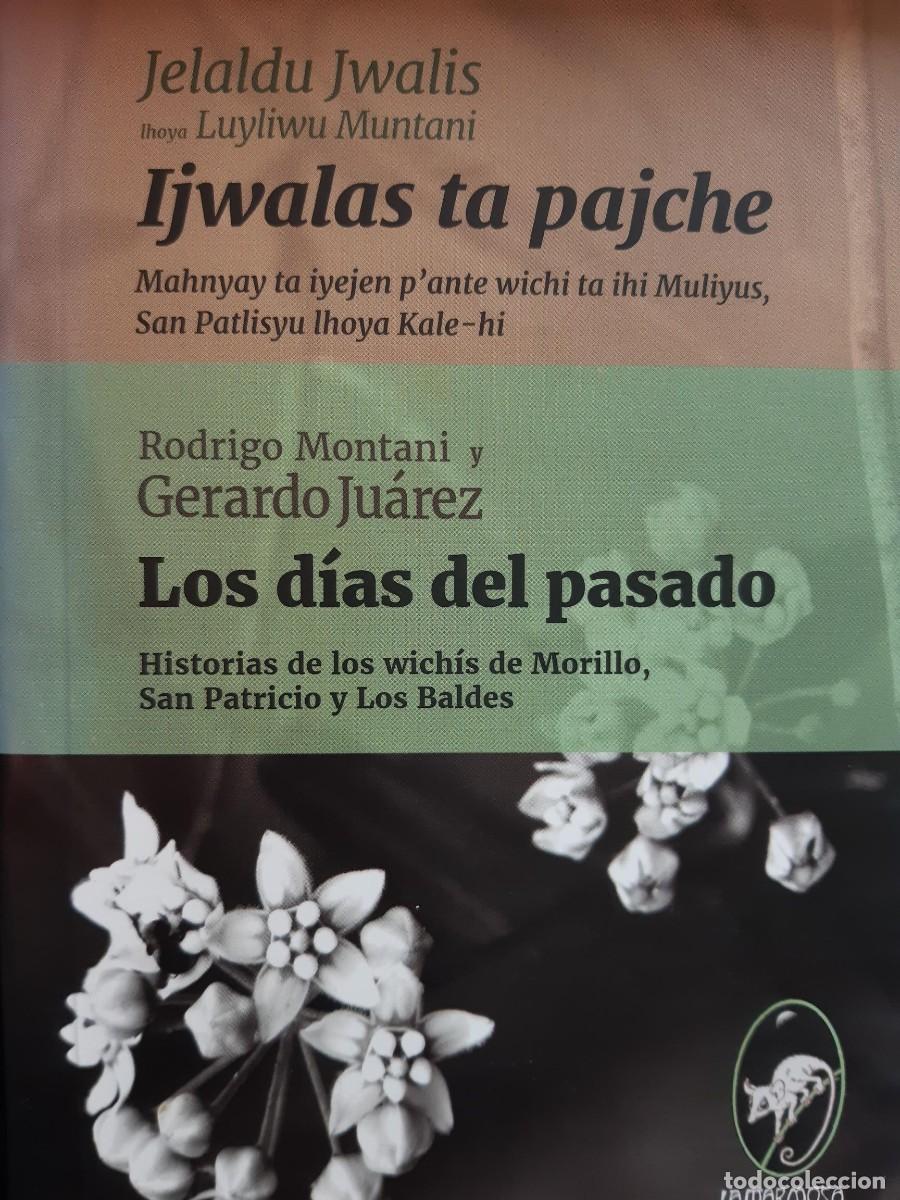 Libros de segunda mano: LOS DIAS DEL PASADO HISTORIAS DE LOS WICHIS DE MORILLO SAN PATRICIO Y LOS BALDES RODRIGO MONTANI