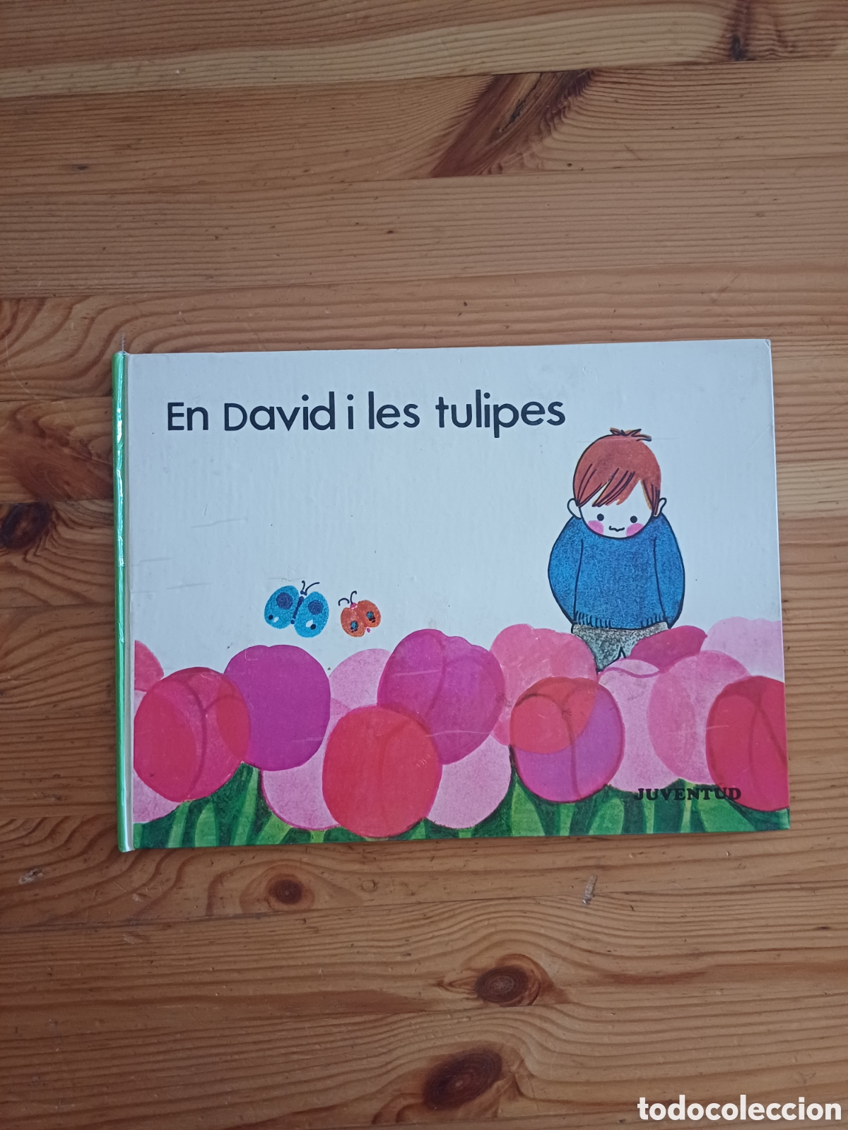 Libros de segunda mano: En David i les tulipes Amelia Benet Maria Rius Editorial Juventud en catal&agrave; 1969