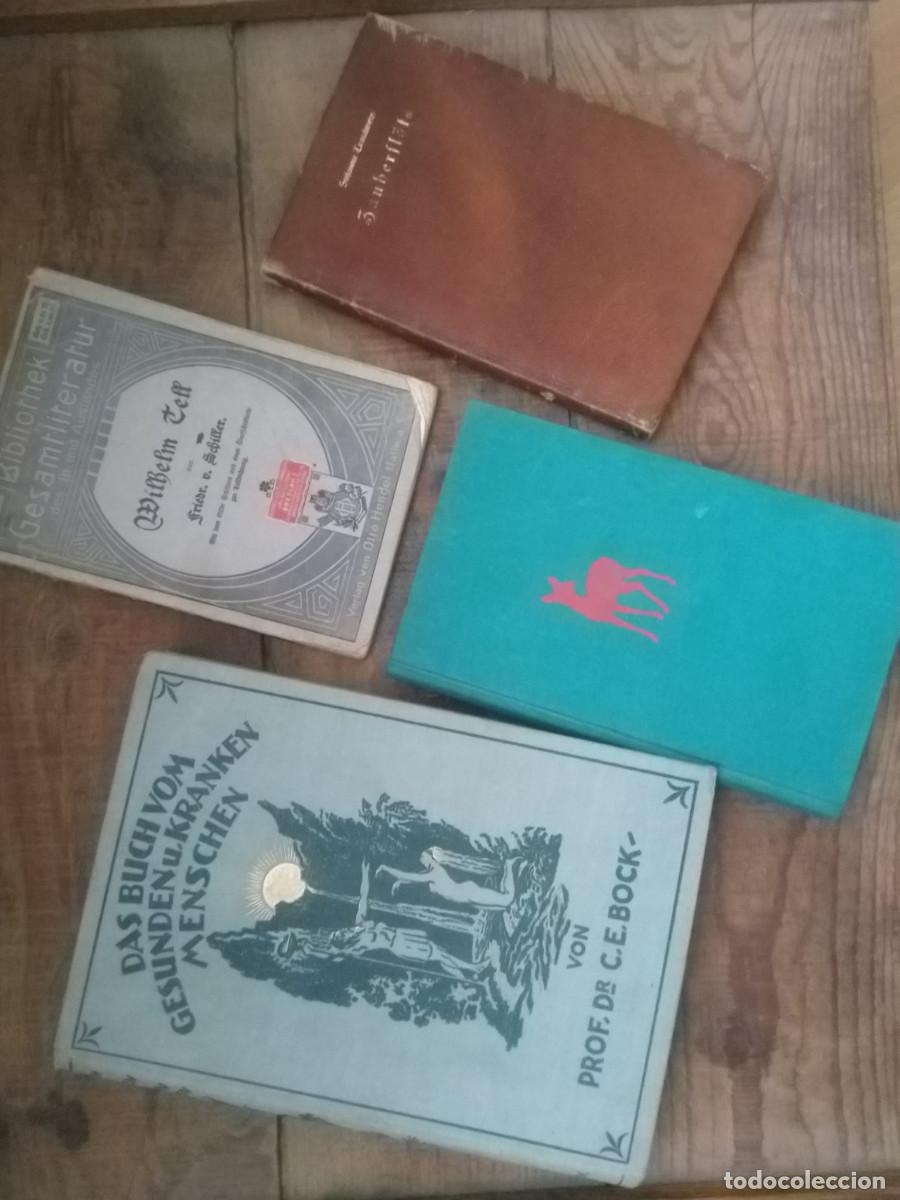 Libros de segunda mano: Lote de libros alemanes en g&oacute;tica